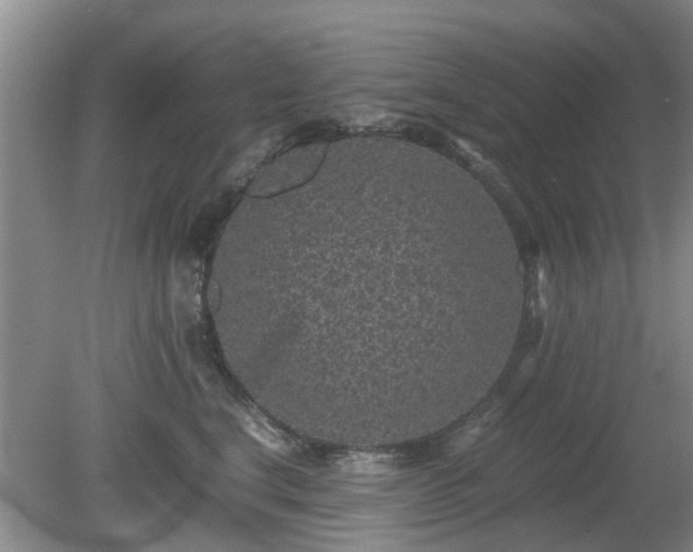 X0000081390664200701182233