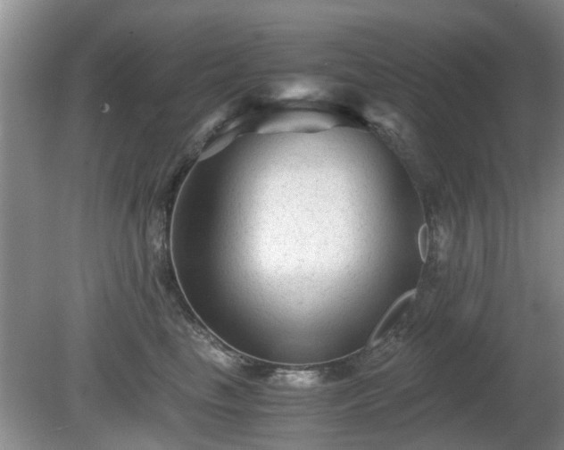 X0000081390665200701182233