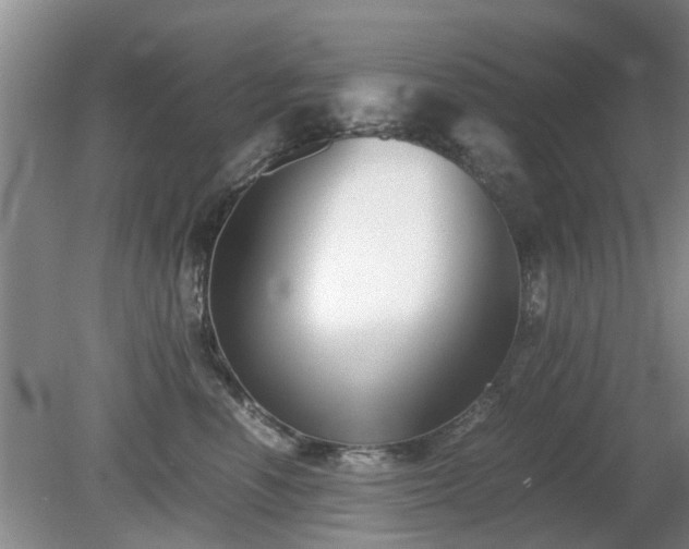 X0000081390666200701182233