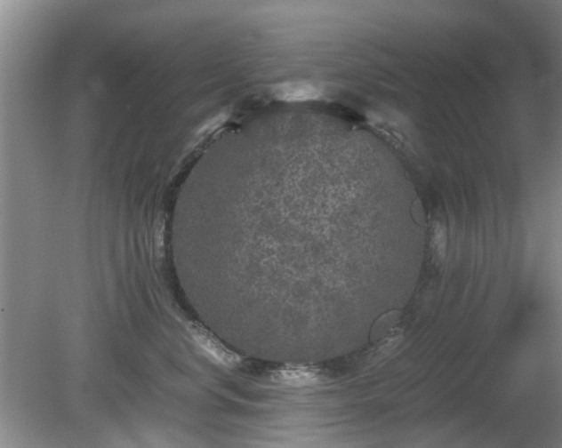 X0000081390668200701182233