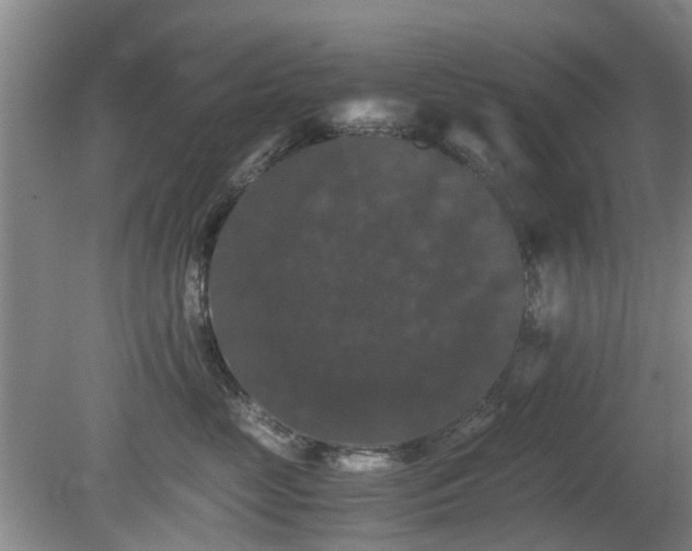 X0000081390669200701182233