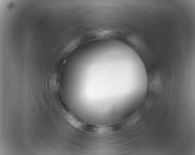 X0000081390670200701182233