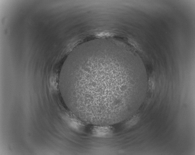 X0000081390671200701182234