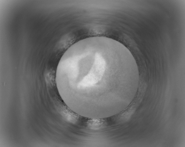 X0000081390672200701182234