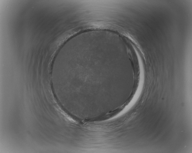 X0000081390673200701182233