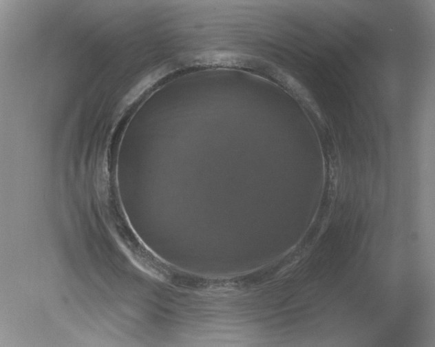 X0000081390674200701182233