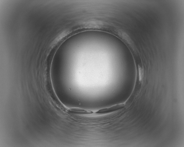 X0000081390675200701182233