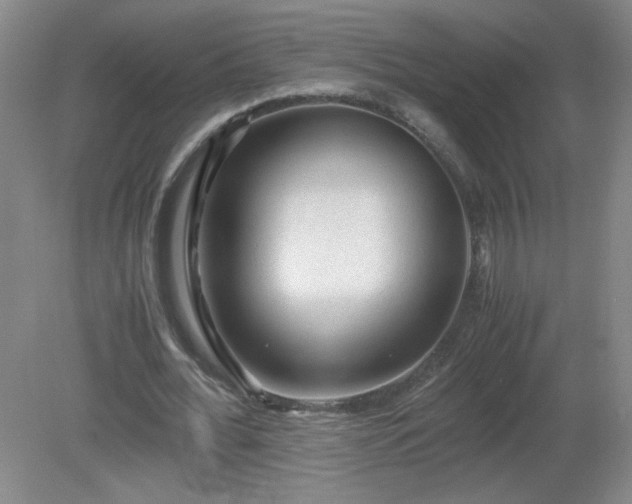 X0000081390676200701182233