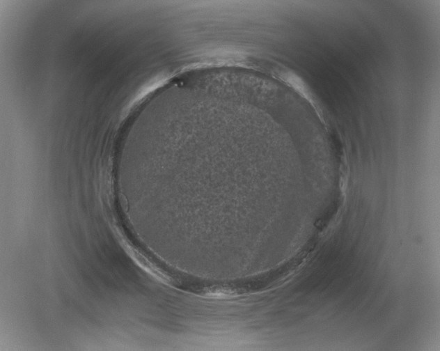 X0000081390677200701182233