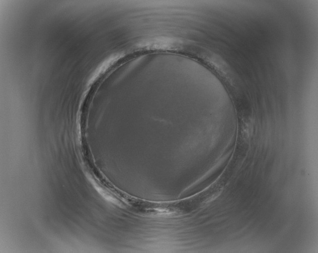 X0000081390678200701182233