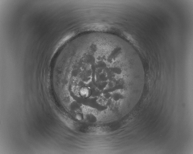 X0000081390679200701182233