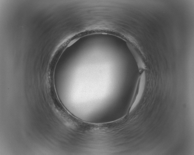 X0000081390680200701182233