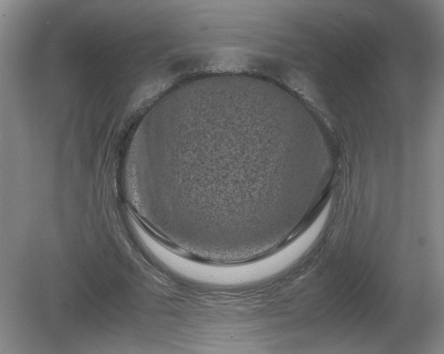 X0000081390681200701182233