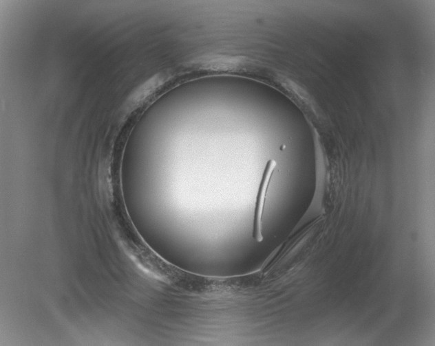 X0000081390682200701182233