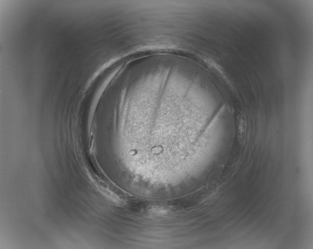 X0000081390684200701182233