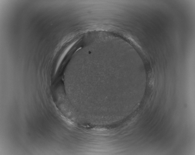 X0000081390685200701182232