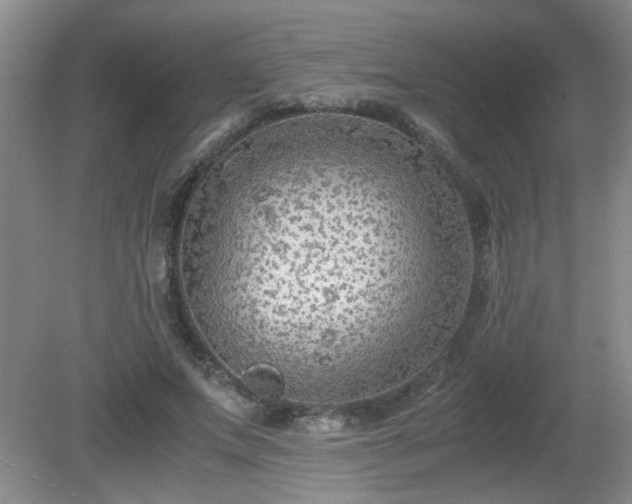 X0000081390687200701182232