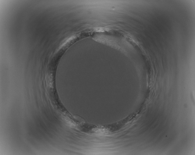 X0000081390689200701182232