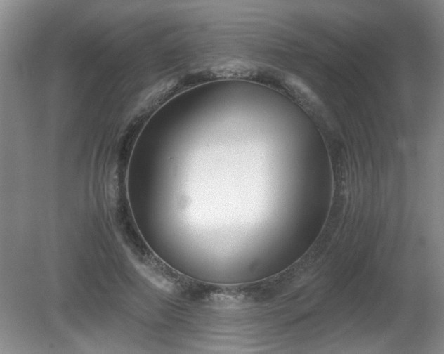 X0000081390690200701182232