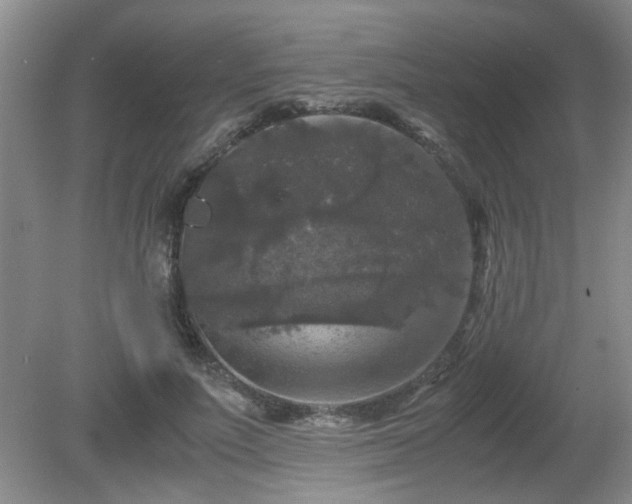 X0000081390691200701182232