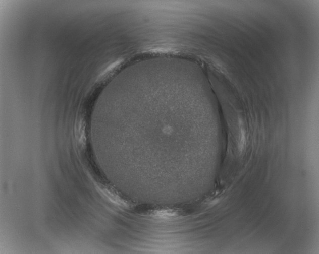 X0000081390692200701182232