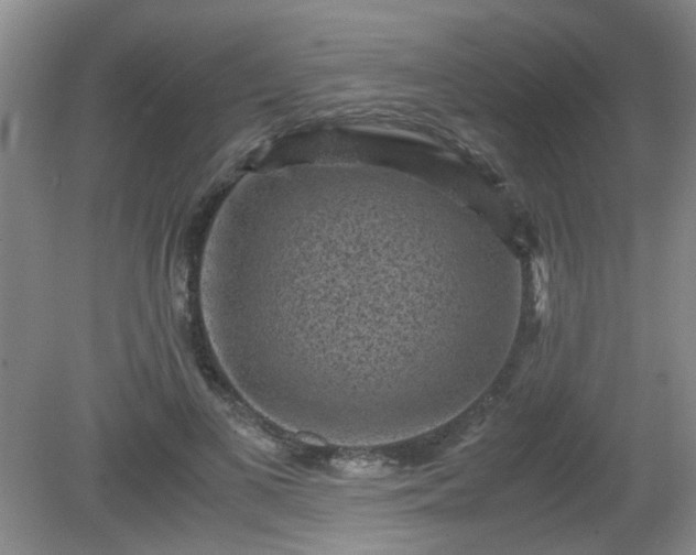 X0000081390693200701182232