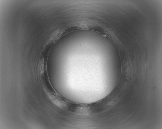 X0000081390694200701182232