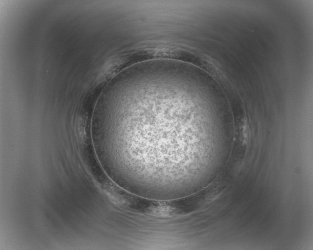 X0000081390695200701182232