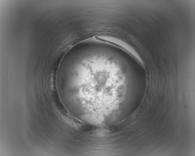 X0000081390696200701182232