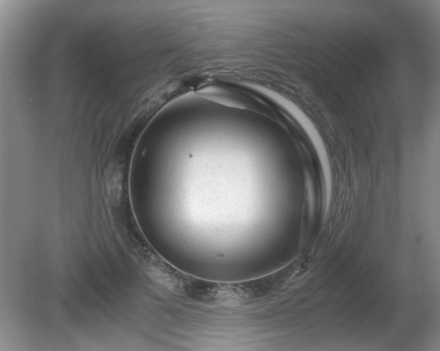 X0000081390697200701182232