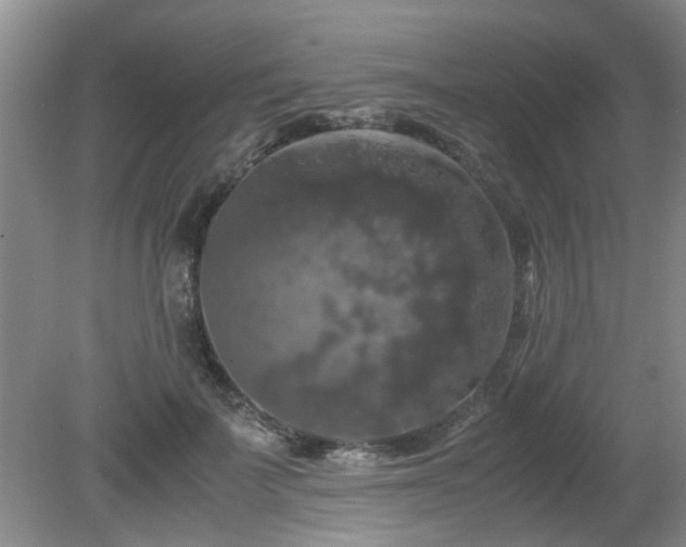 X0000081390699200701182232