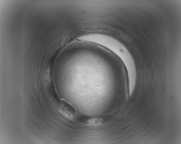 X0000081390700200701182232