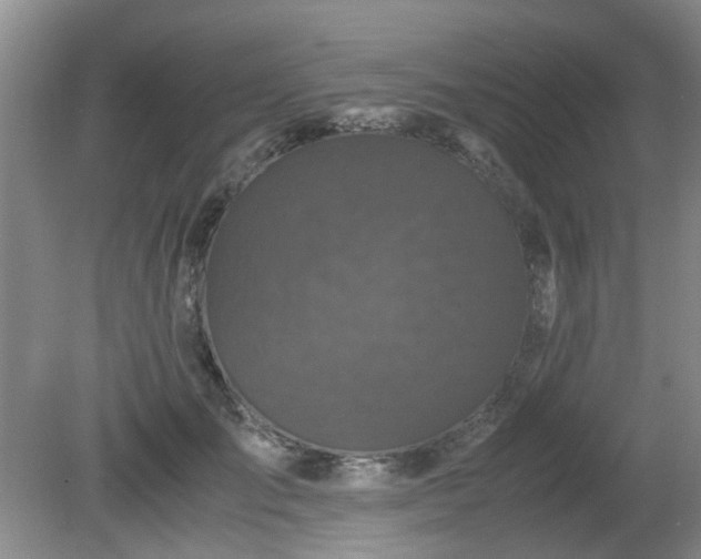 X0000081390701200701182232