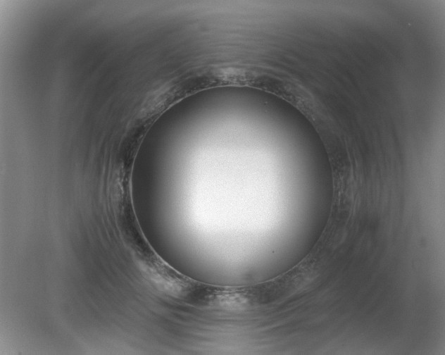 X0000081390702200701182232