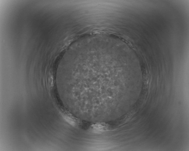 X0000081390703200701182232