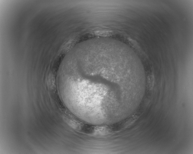 X0000081390705200701182232