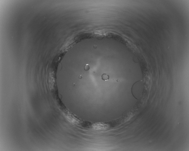 X0000081390707200701182232