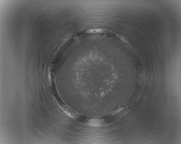 X0000081390708200701182232