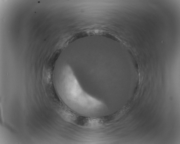 X0000081390709200701182232