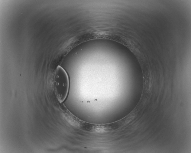 X0000081390710200701182232