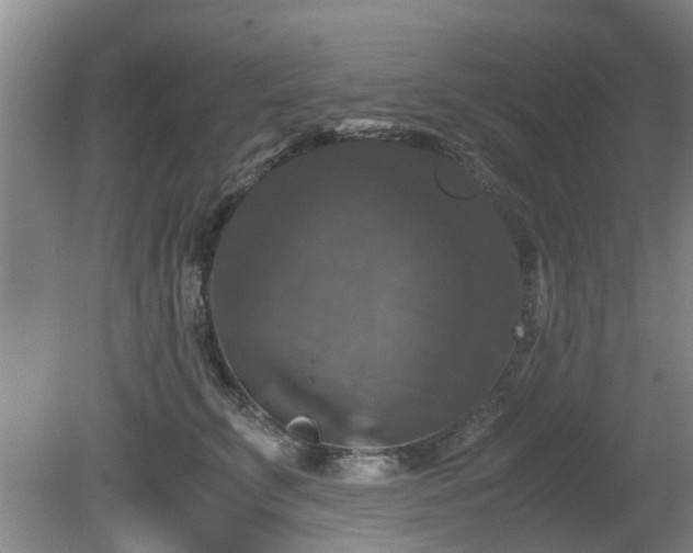 X0000081390711200701182232