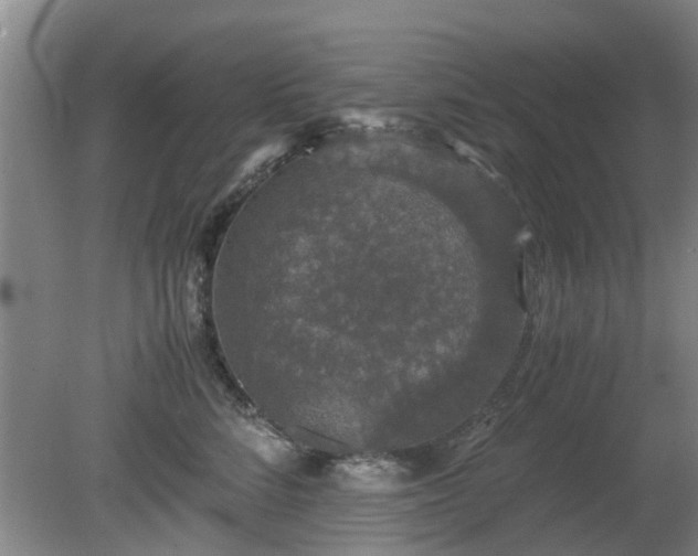 X0000081390712200701182232