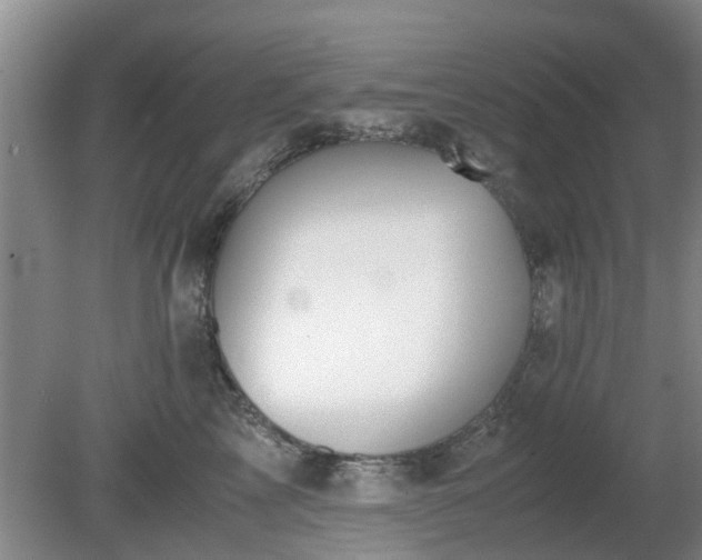 X0000081390713200701182232