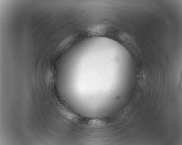 X0000081390714200701182232