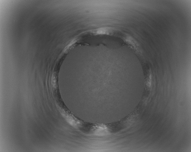 X0000081390715200701182232