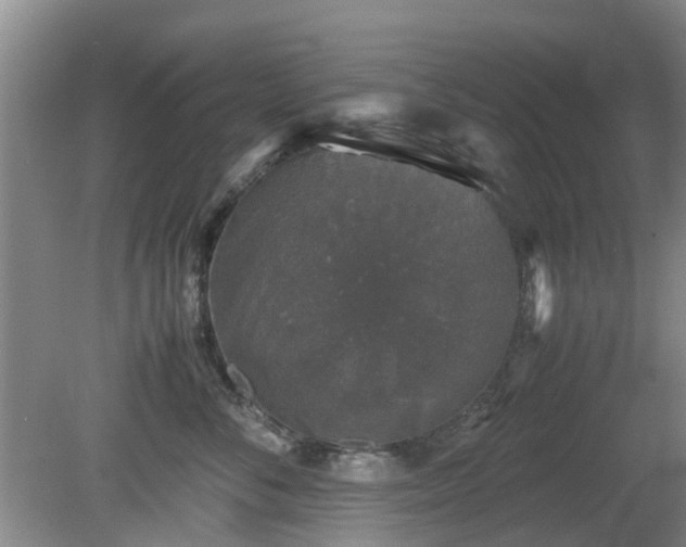 X0000081390716200701182232