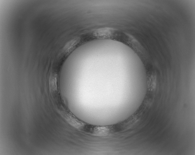 X0000081390717200701182232