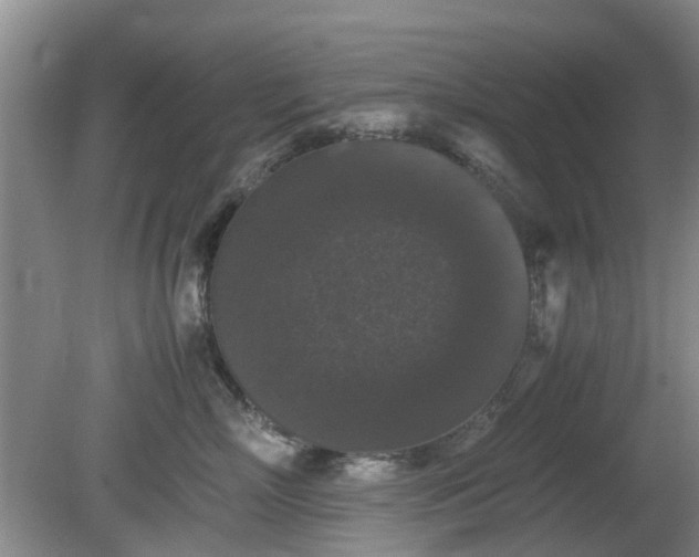 X0000081390718200701182232