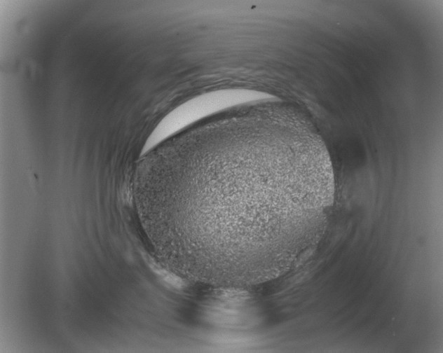 X0000081390719200701182232