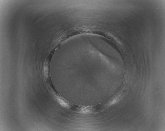 X0000081390720200701182232